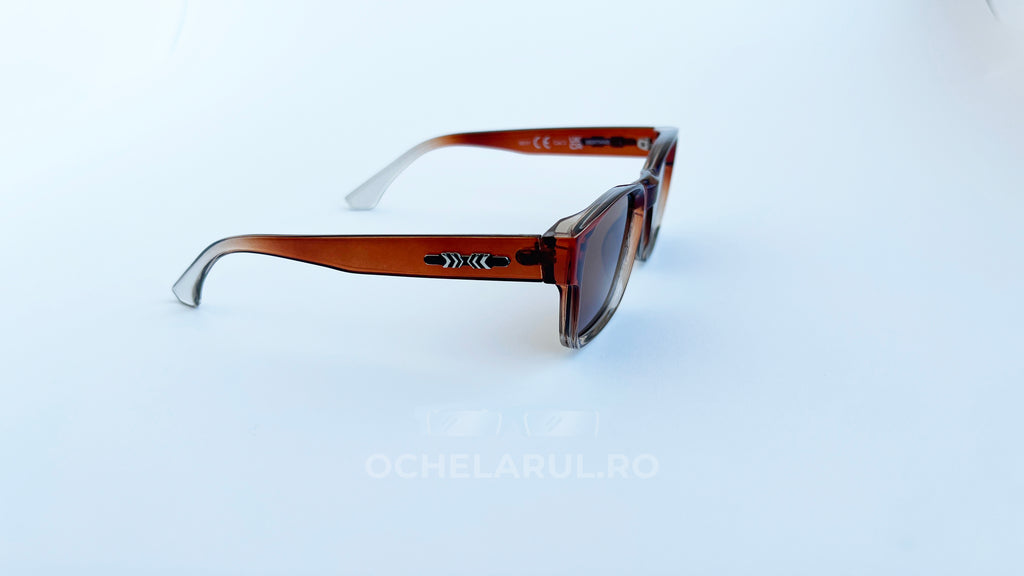 Ochelari de soare Retro Pătrați Maro