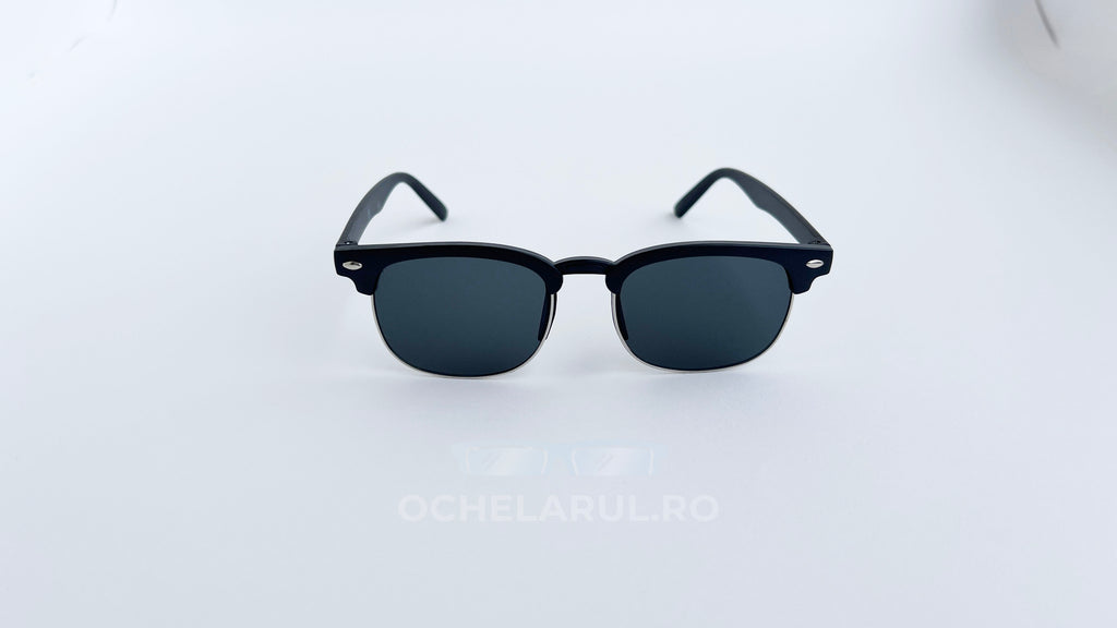 Ochelari de soare Clubmaster Small Size