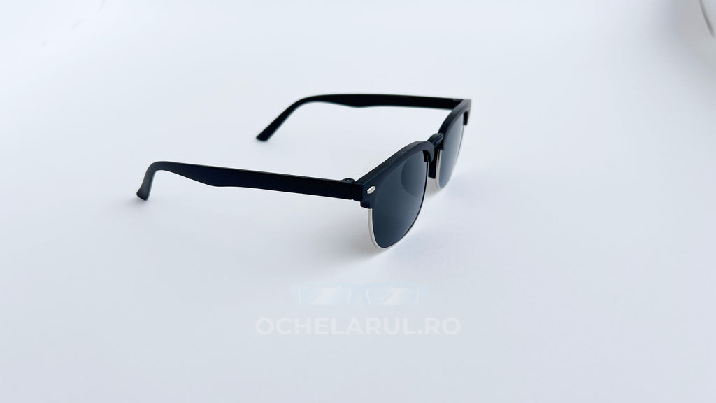 Ochelari de soare Clubmaster Small Size