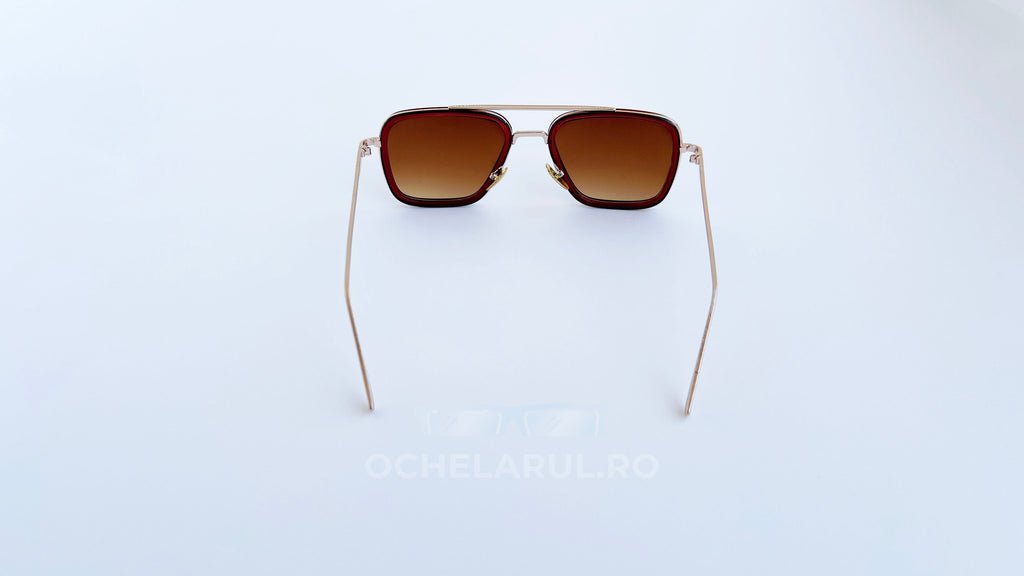 Ochelari de soare Dita Flight rama aurie-neagra si lentile maro degrade, vedere spate