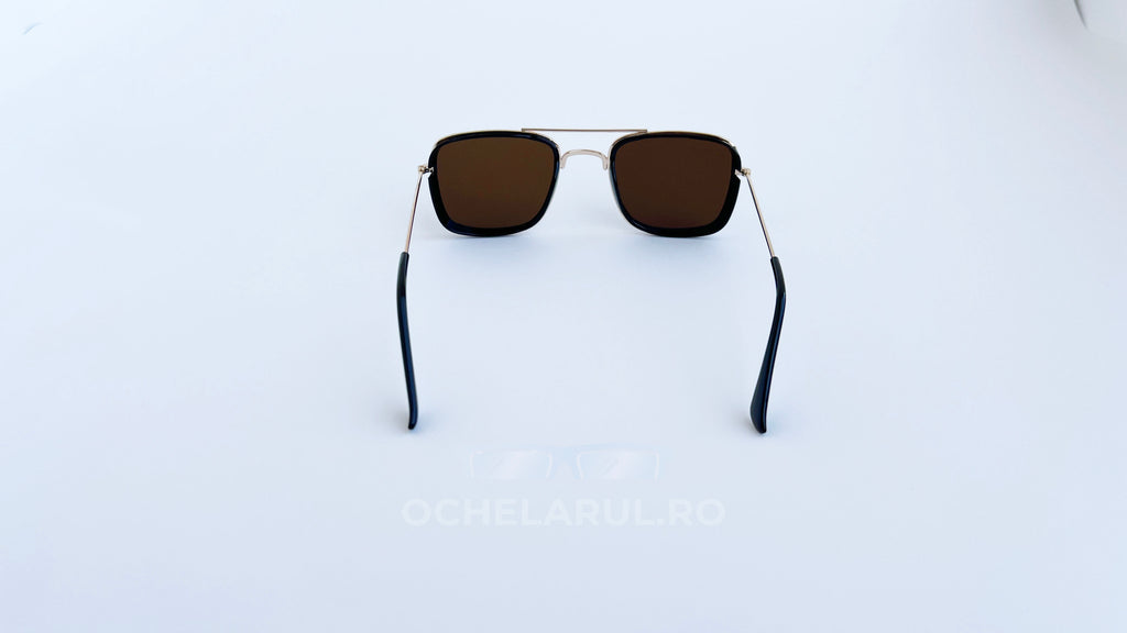 Ochelari de soare Dita Flight Wrap Style - Rama aurie neagra, Lentile maro - vedere spate