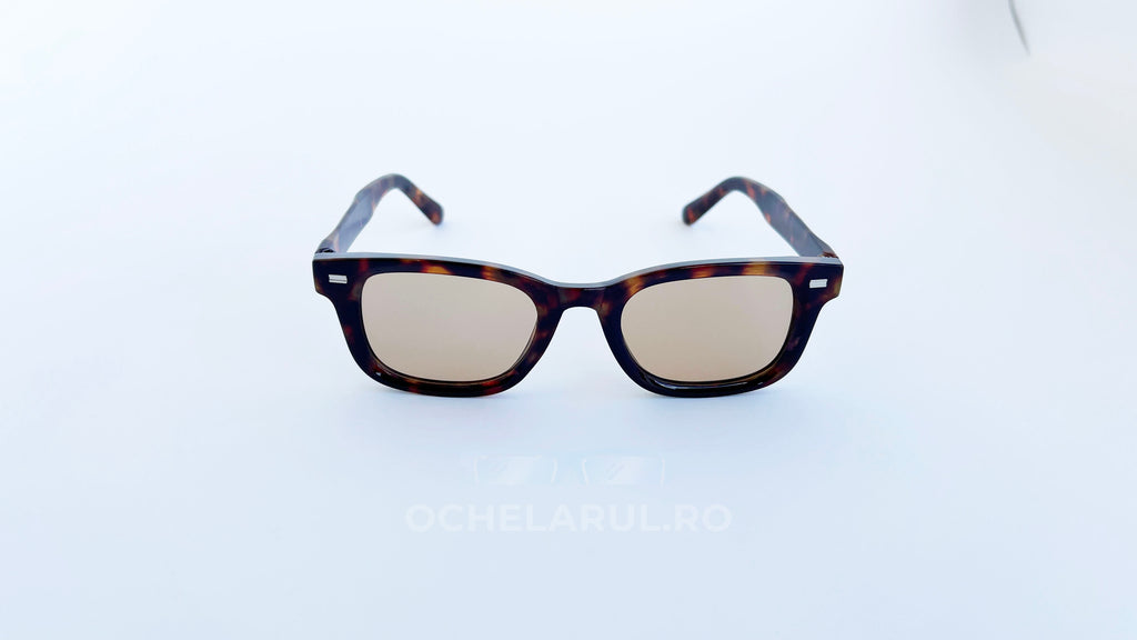Ochelari de soare Moscot Klutz Style cu rame tortoise, lentile maro pentru protecție și stil masculin modern, vedere frontala