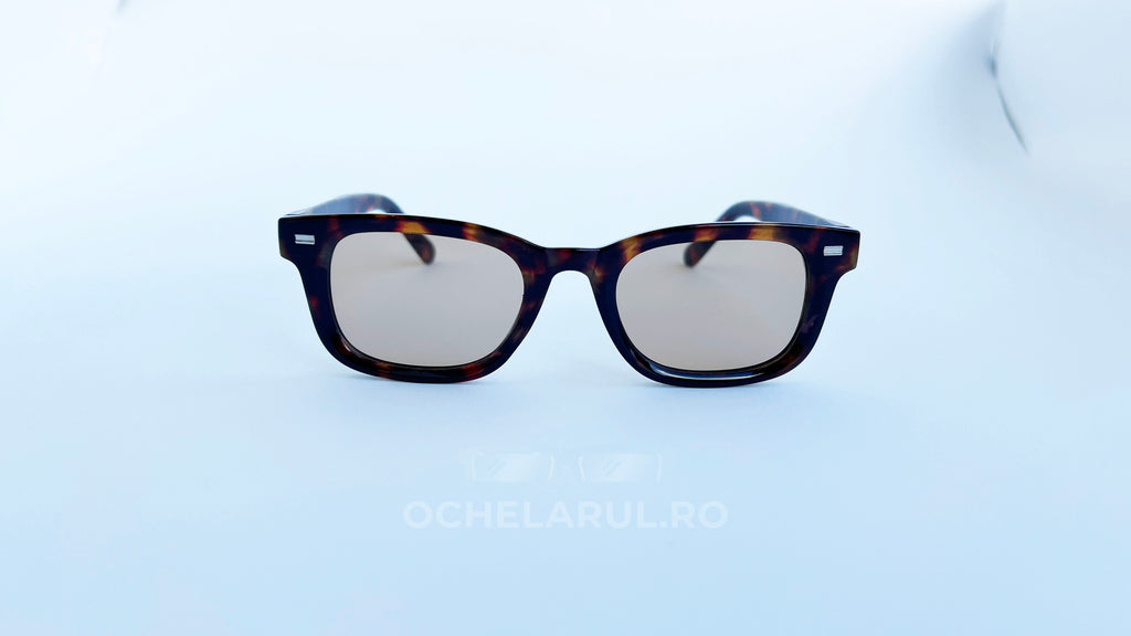 Ochelari de soare Moscot Klutz Style cu rame tortoise, lentile maro pentru protecție și stil masculin modern, vedere frontala