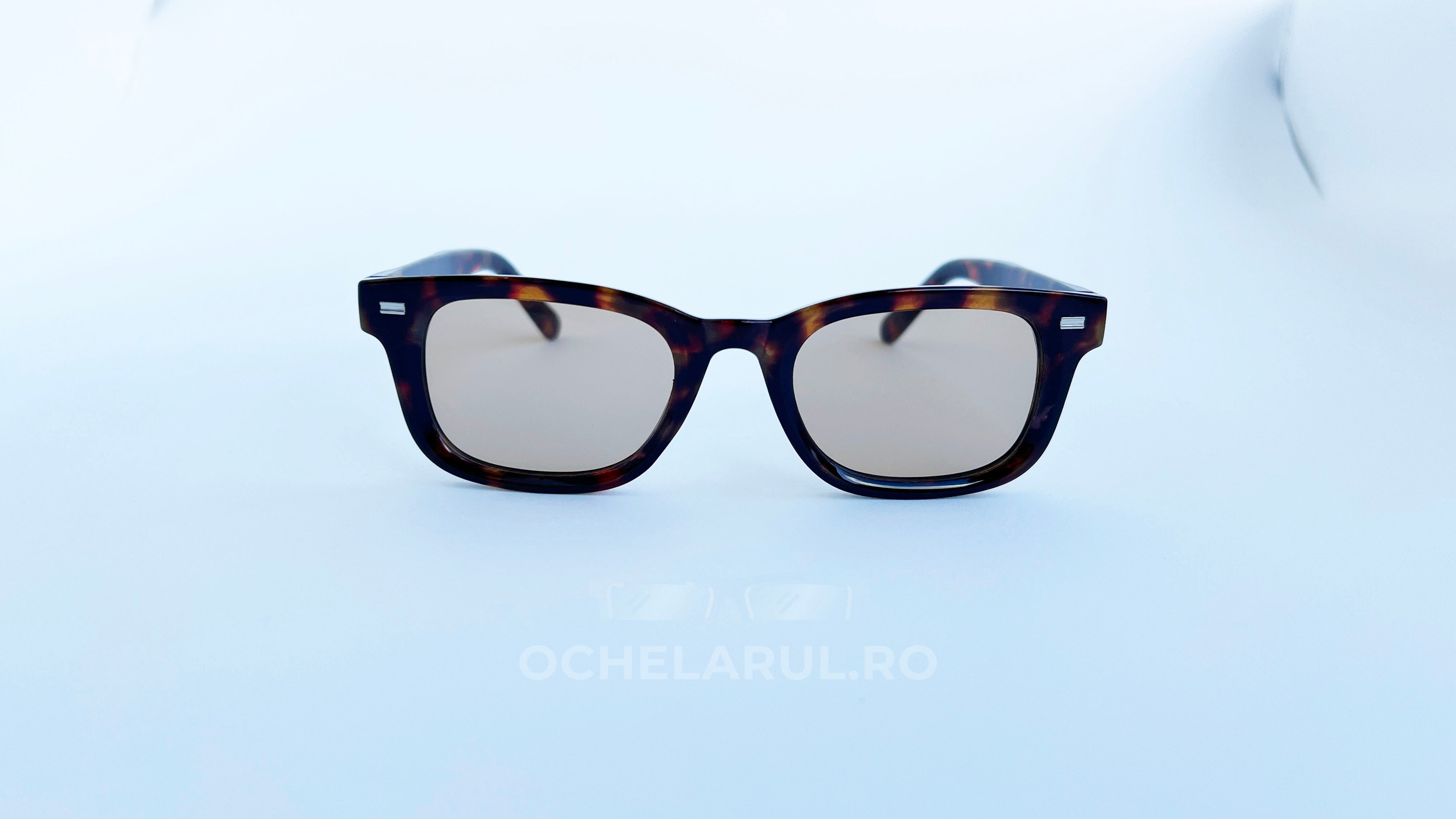 Ochelari de soare Moscot Klutz Style cu rame tortoise, lentile maro pentru protecție și stil masculin modern, vedere frontala