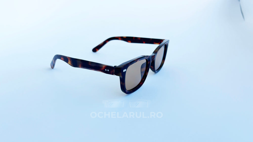 Ochelari de soare Moscot Klutz Style cu rame tortoise, lentile maro pentru protecție și stil masculin modern, vedere laterala