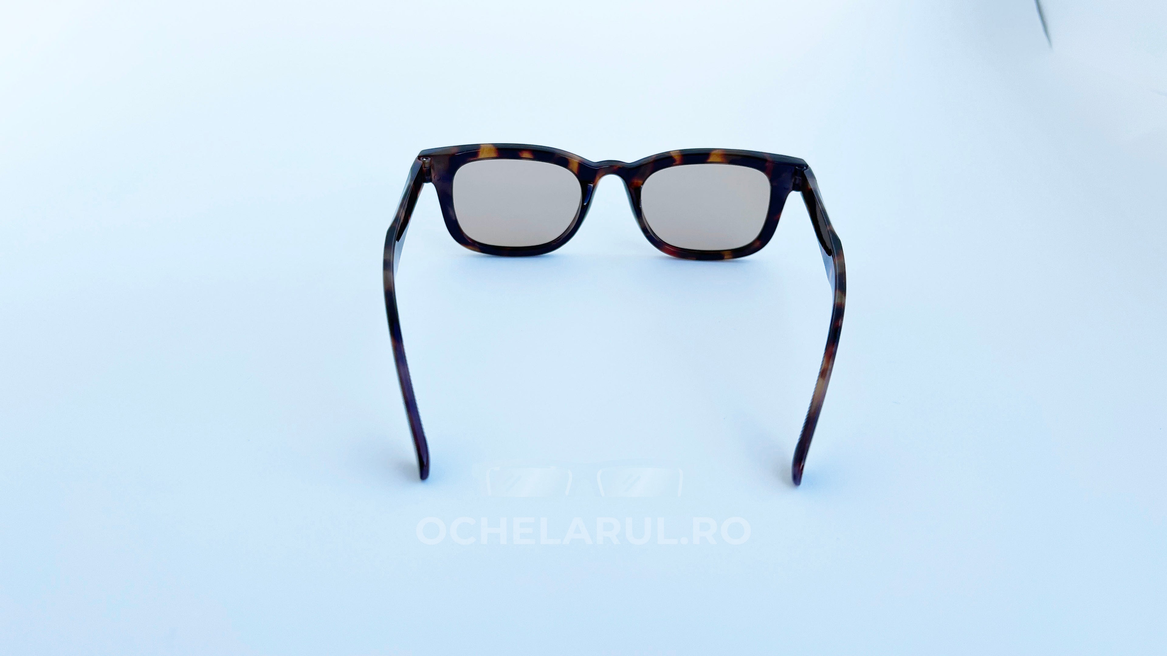 Ochelari de soare Moscot Klutz Style cu rame tortoise, lentile maro pentru protecție și stil masculin modern, vedere spate