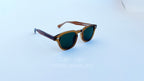 Ochelari de soare Moscot Lemtosh Style