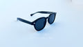 Ochelari de soare Moscot Lemtosh Style