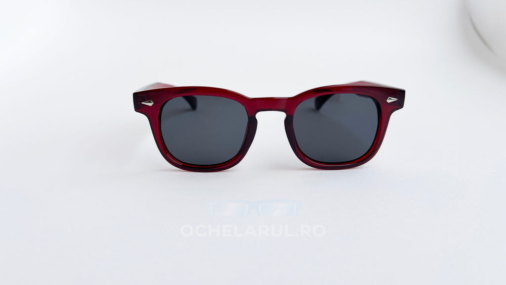 Ochelari de soare Moscot Lemtosh style, rama visinie si lentile negre, vedere fata aproape