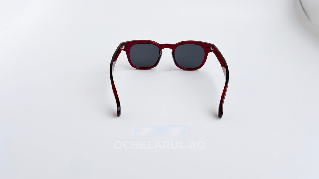 Ochelari de soare Moscot Lemtosh style, rama visinie si lentile negre, vedere spate