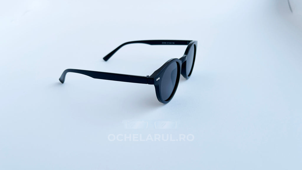 Ochelari de soare Oliver Peoples Style