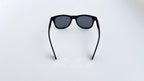 Ochelari de soare Wayfarer