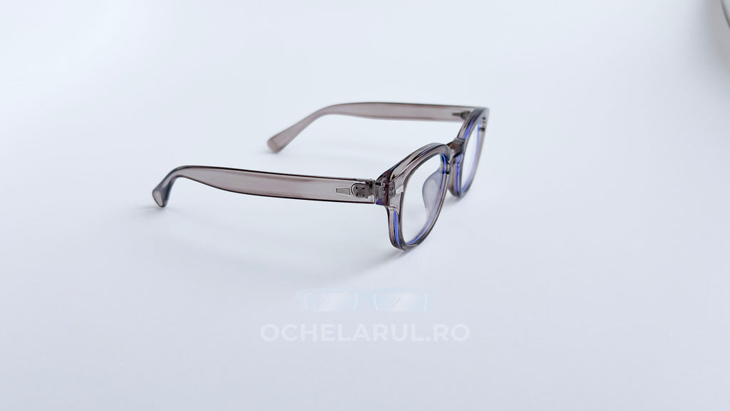 Rame ochelari Moscot Style gri transparent cu lentile clare, design modern și elegant pentru ochelari de vedere.